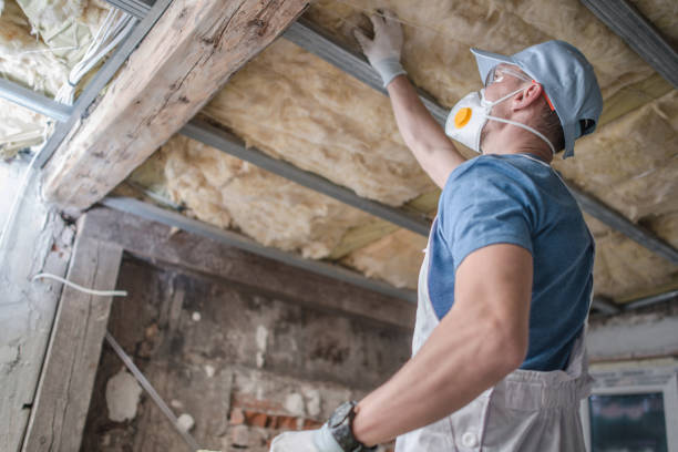 Reliable Kahaluu Keauhou, HI Insulation Contractor Solutions